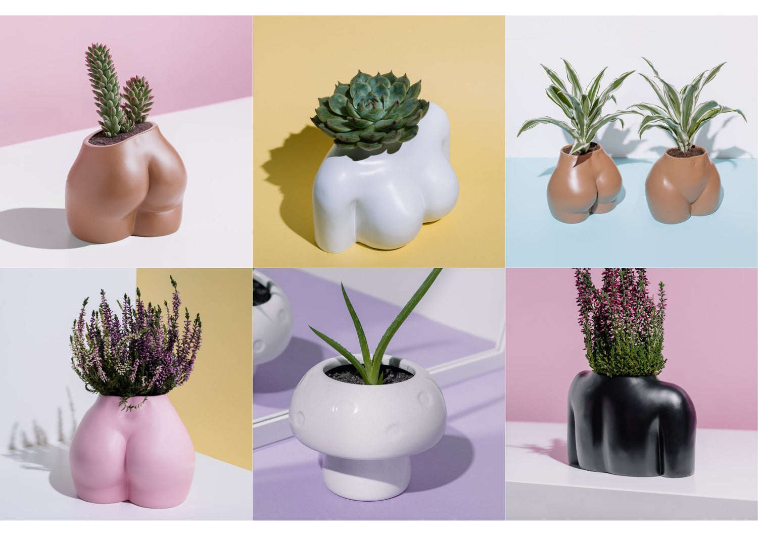 https://kuha.shop/cdn/shop/collections/Body_planter_coming_soon.jpg?v=1699559950&width=1500